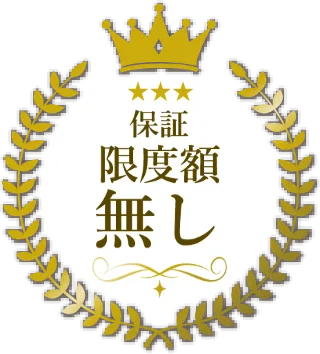 保証制度額無し