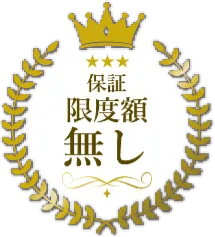 保証制度額無し